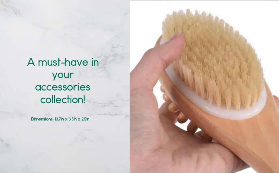 Bath & Body Massage Brush - AmeriLuxe Essentials
