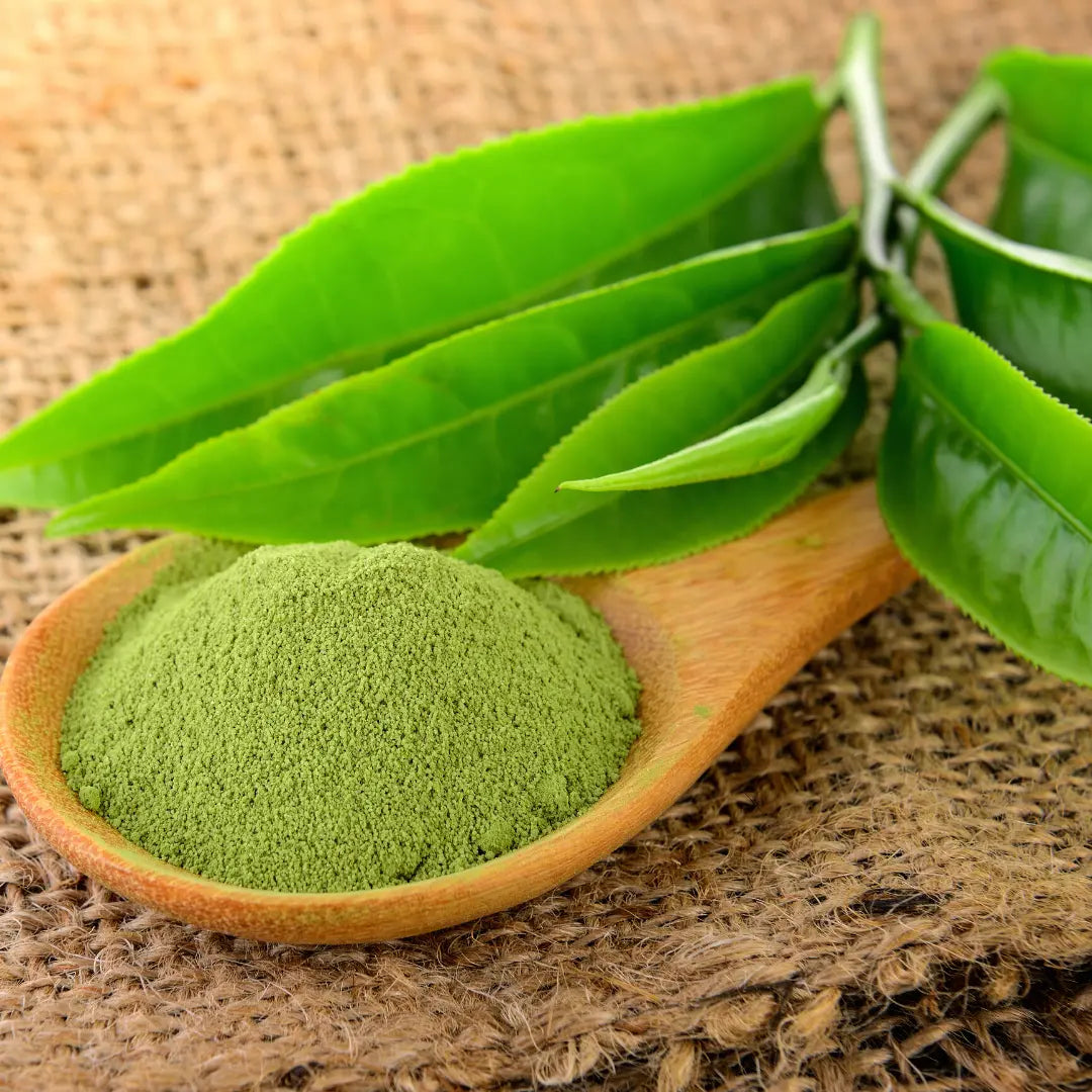 Matcha Green Tea Powder Japanese Organic 40g - AmeriLuxe Essentials